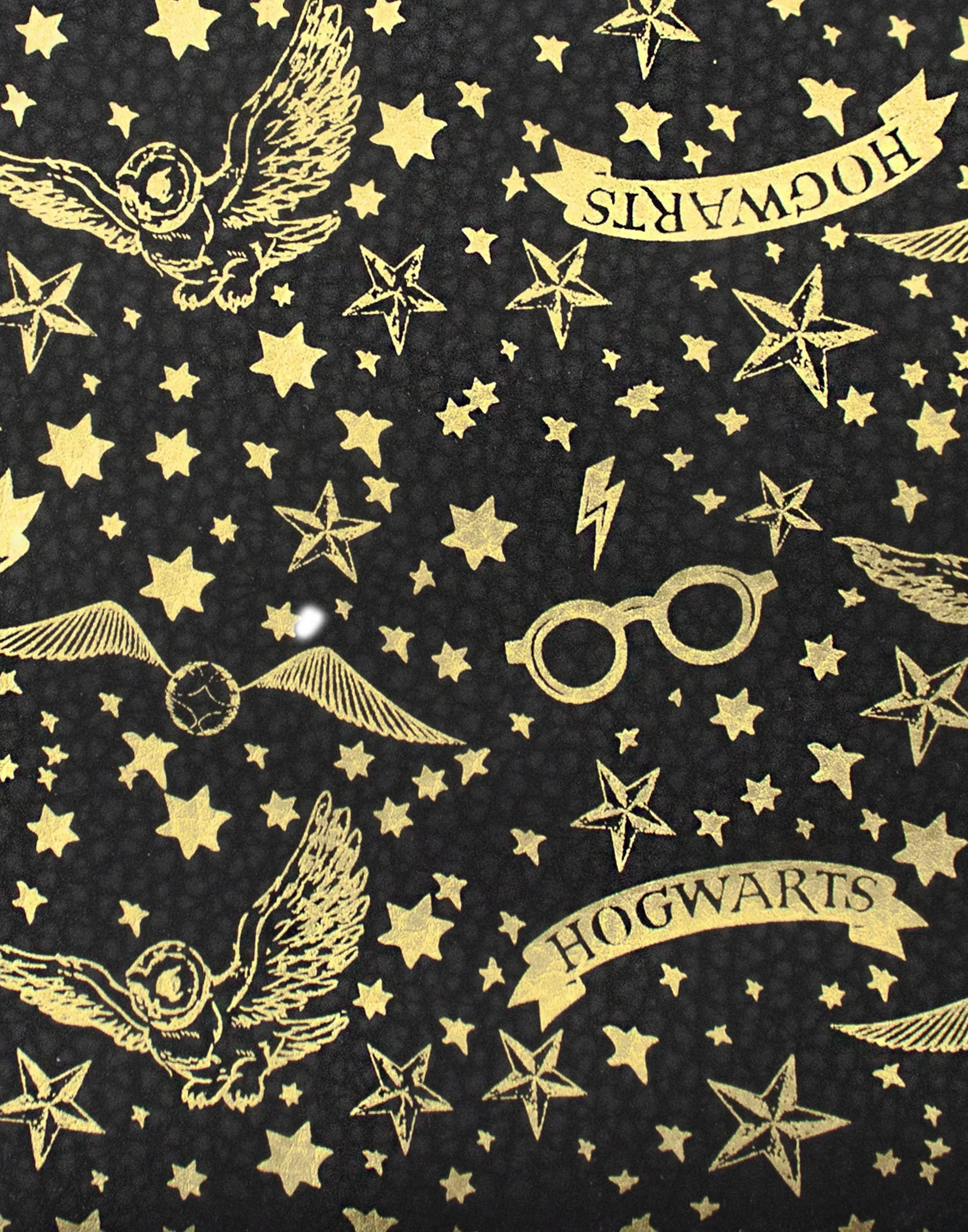 Harry Potter Hogwarts Pencil Case and Marauders Map Notebook Stationary Set